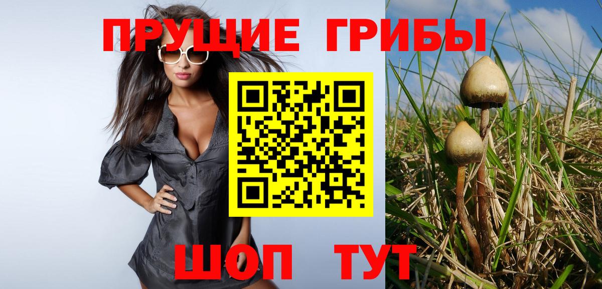 купить наркотик  Вход с VPN  Белгород  Галлюциногенные грибы ЛСД 