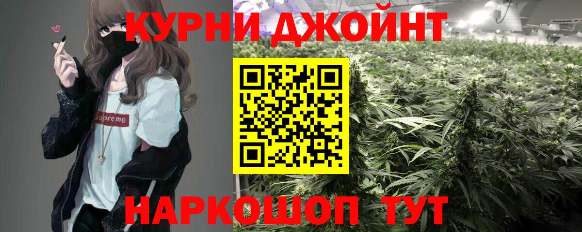 Конопля сатива Белгород
